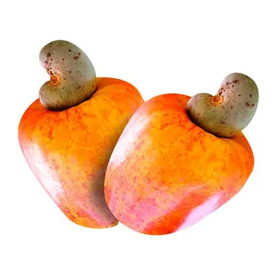 Caju
