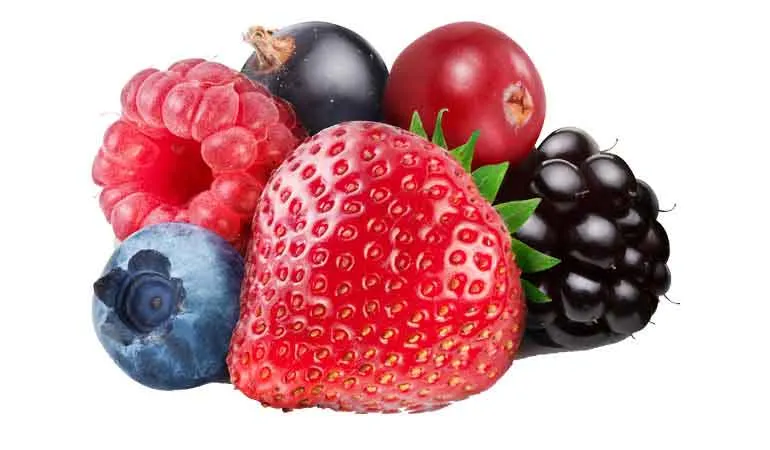 Frutas Vermelhas